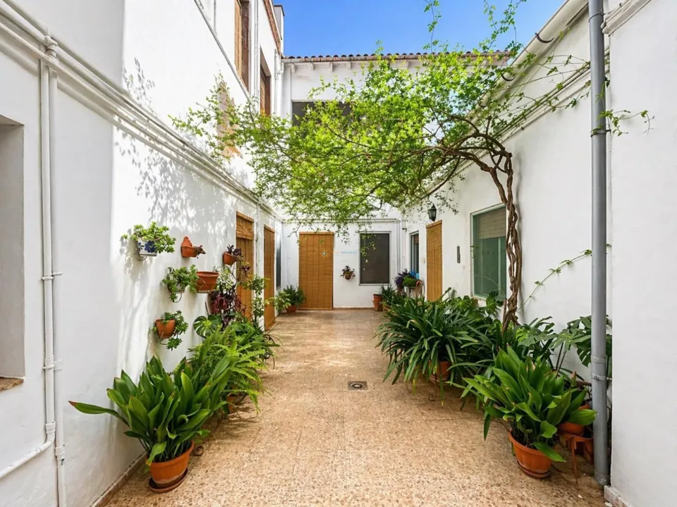 Landsbyhus i Aielo De Malferit, Valencia - foto 1